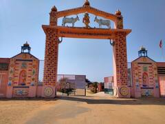 Jhunjhunu News: झुंझुनू में 'लखपति' हैं इस गौशाला की गायें, बैंक में है लाखों की एफडी