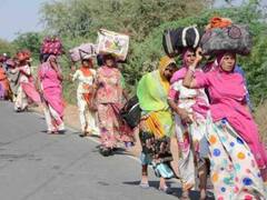 Panchkroshi Yatra: तपती दोपहर में 25 अप्रैल से शुरू होगी पंचक्रोशी यात्रा, 118 किलोमीटर पैदल चलेंगे श्रद्धालु