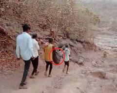 Palghar News : मोखड्यात गरोदर मातेची रस्त्याअभावी चार किलोमीटर झोळीतून फरफट