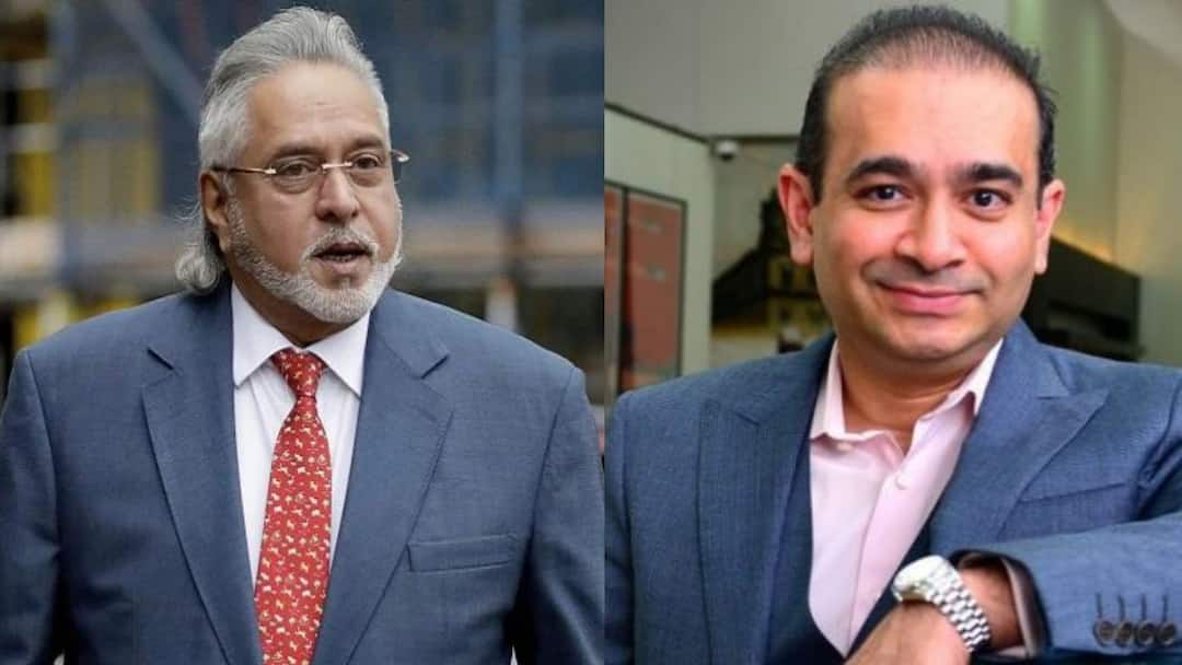 British Prime Minister Boris said he would review the handover of Vijay Mallya and Nirav Modi to India વિજય માલ્યા અને નિરવ મોદીને ભારતને સોંપવા અંગે શું કહ્યું બ્રિટનના વડાપ્રધાન બોરીસે ?