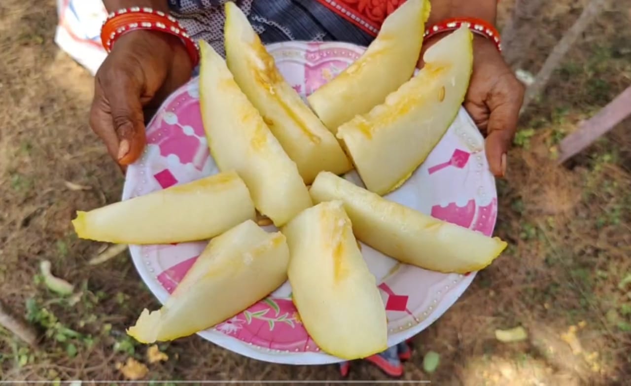 Konaseema Farmer: సముద్ర తీరంలో పండ్ల పంటలు, మైండ్ బ్లోయింగ్ రిజల్ట్స్ - పుచ్చకాయలు రంగుల్లో, ఇలా చేస్తే సాధ్యమే!