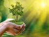 Earth Day 2022: உலக பூமி தினம்.. என்ன தெரியும்? சிறப்பு டூடுல் போட்ட கூகுள் என்ன சொல்லுது தெரியுமா?