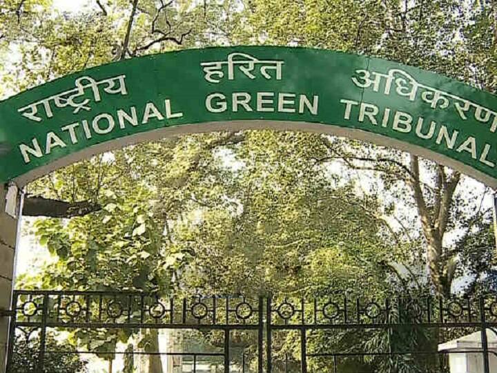 Noida News NGT orders to remove concrete near by trees ANN Noida News: नोएडा में पेड़ों के पास से हटाई जा रही है कंक्रीट, एनजीटी के आदेश पर प्राधिकरण ने शुरू किया काम