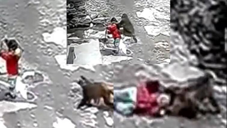 Viral News: Monkey try to kidnap little girl in china, cctv footage captured Viral News: খুদেকে টেনে নিয়ে পালানোর চেষ্টা বাঁদরের! সিসিটিভিতে ধরা পড়ল শিউরে ওঠার মতো ভিডিও