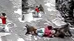 Viral News: খুদেকে টেনে নিয়ে পালানোর চেষ্টা বাঁদরের! সিসিটিভিতে ধরা পড়ল শিউরে ওঠার মতো ভিডিও