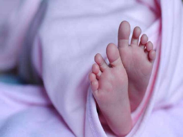 Ambikapur Chhattisgarh Case of illegal adoption of twins through staff brokers in Medical College Hospital ANN Ambikapur News: विधवा महिला ने जुड़वा बच्चों को दिया जन्म, अस्पताल से गायब हुए नवजात, फिर जो हुआ...
