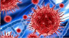 Corona Update: চতুর্থ ঢেউয়ের আশঙ্কার মাঝেই দেশে বাড়ল করোনায় দৈনিক আক্রান্ত, বঙ্গে ঝুঁকি কতটা ? | Bangla News