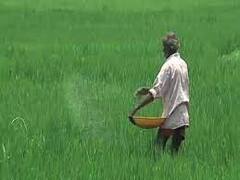 NABARD Report: किसानों की कर्ज माफी का कोई स्थायी समाधान नहीं, नाबार्ड रिपोर्ट