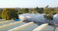 Kota News: બે IITiansનું અનોખું સ્ટાર્ટઅપ, હવામાં ઉગાડે છે શાકભાજી