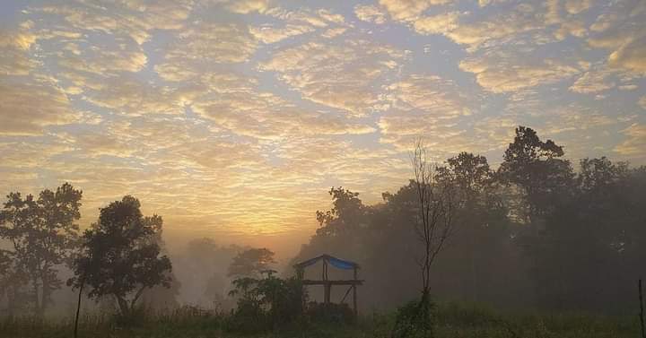 Bastar Tourism: गर्मी की छुट्टियां बिताने बड़ी संख्या में पर्यटक पहुंच रहे बस्तर, होमस्टे-रिसॉर्ट की जमकर कर रहे तारीफ