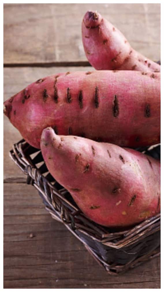 શિયાળામાં શક્કરિયાનું સેવન કરવાથી થાય છે અદભૂત ફાયદા