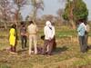 Jabalpur News: जादू-टोने के शक में दंपत्ति पर तलवार से हमला, पत्नी की मौत, पति गंभीर रूप से घायल