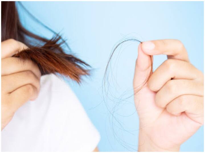 Health Tips, Tips to Stop Hair Fall, Hair Care Tips, Hair Care, Hair Fall Tips to Stop Hair Fall: बालों को झड़ने से रोकने के लिए अपनाएं ये आदतें, कुछ ही दिनों में दिखेगा फर्क