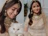 Alia Bhatt Shares New PICS From Her Wedding With Her 'Cat Of Honour'