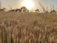 MP Weather Update: मध्य प्रदेश में खत्म होने वाला है सुहाने मौसम का दौर, जानिए किस शहर में कितना बढ़ सकता है तापमान