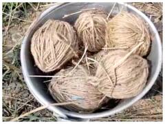 Bombs Recovered in Kolkata: बंगाल में बड़ी साजिश नाकाम, कोलकाता में ऑटो से मिले 19 क्रूड बम, हथियार और गोलियां