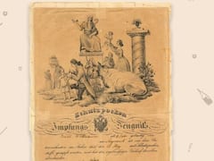 World Immunization Week 2022: Google Shares One Of The Earliest Vaccination Certificates Ever. Know The Disease It Was For And All About It