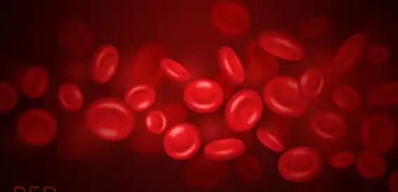 રાત્રે જમ્યા પછી ચાલવાથી તમને સારી ઊંઘ આવે છે. ખરેખર, ચાલવાથી તમારા શરીરમાં રક્ત પરિભ્રમણ સુધરે છે, જે ઊંઘને સુધારવામાં મદદરૂપ થઈ શકે છે.