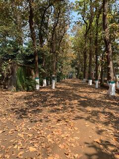 Weather Update: দক্ষিণবঙ্গের ৭ জেলায় তাপপ্রবাহের পরিস্থিতি, আগামী ৪-৫ দিনে নেই বৃষ্টির পূর্বাভাস