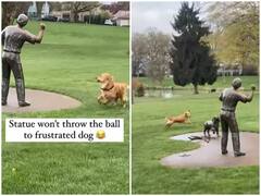 Watch: पार्क में स्टेच्यू के साथ खेलने की कोशिश करता दिखा डॉगी, वायरल हुआ वीडियो