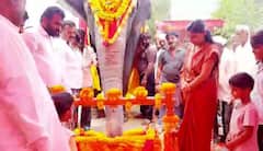 PHOTO : लेकीच्या जन्माचं भव्य स्वागत; हत्तीवरुन जिलेबी वाटली अन् गावजेवण दिलं!