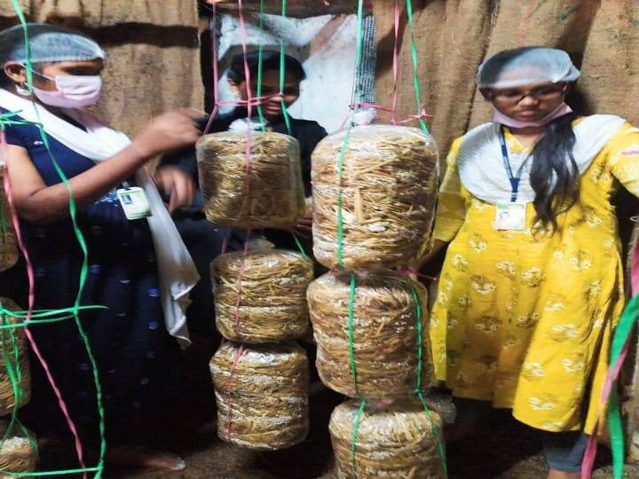 Madurai: கை நிறைய சம்பாரிக்க காளான் வளர்ப்பு.. மதுரை மாணவிகள் அசத்தல் !