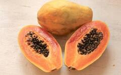Weight Loss With Papaya : વજન ઘટાડવા માટે પપૈયાનું કરો સેવન, જાણો કેમ છે અસરકારક