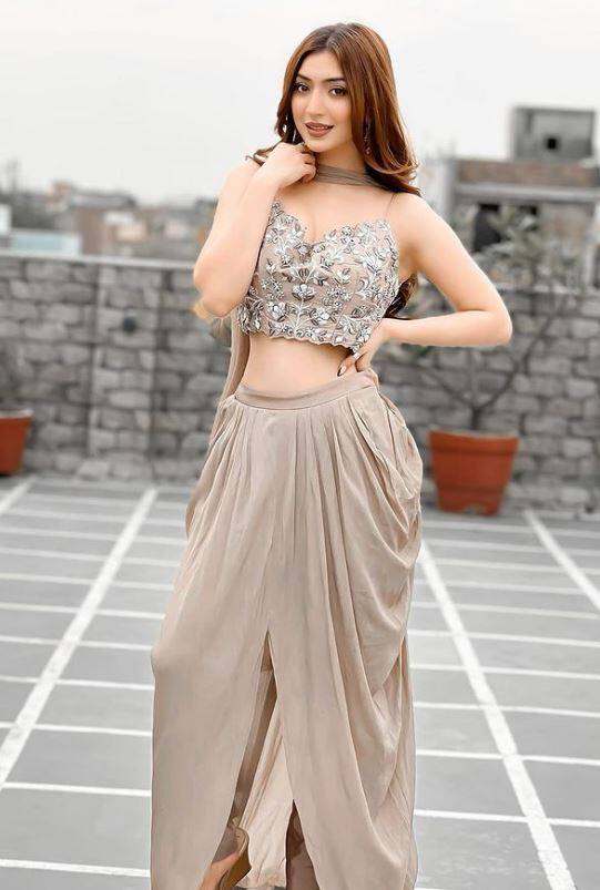 પ્રિયંકા ટીવી ઇન્ડસ્ટ્રીઝ સાથે પણ જોડાયેલી છે.