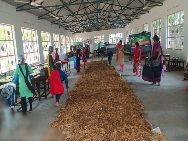 Madurai: கை நிறைய சம்பாரிக்க காளான் வளர்ப்பு.. மதுரை மாணவிகள் அசத்தல் !