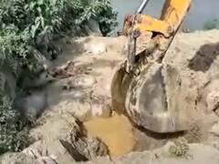 Gorakhpur News: कच्‍ची शराब के अवैध अड्डों पर चला बुलडोजर, 8 हजार किलो लहन नष्ट और 80 लीटर शराब बरामद