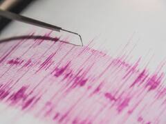 Earthquake Of Magnitude 4.2 Hits Ladakh, No Loss Of Life Or Injury Reported