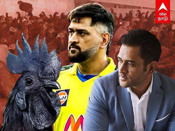 MS Dhoni Farm House  | 2000 கருங்கோழிகள்.. தோனியின் Next பிராஜக்ட்!