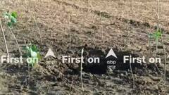 PM के दौरे से पहले Jammu के एक गांव में हुआ धमाका, धमाके से जमीन में हुआ डेढ़ फुट गहरा गड्ढा