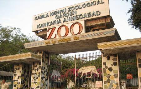 22 lakh people visit Kankaria Zoo in 11 months in ahmedabad AHMEDABAD : 11 મહિનામાં 22 લાખ લોકોએ કાંકરિયા ઝૂની મુલાકાત લીધી