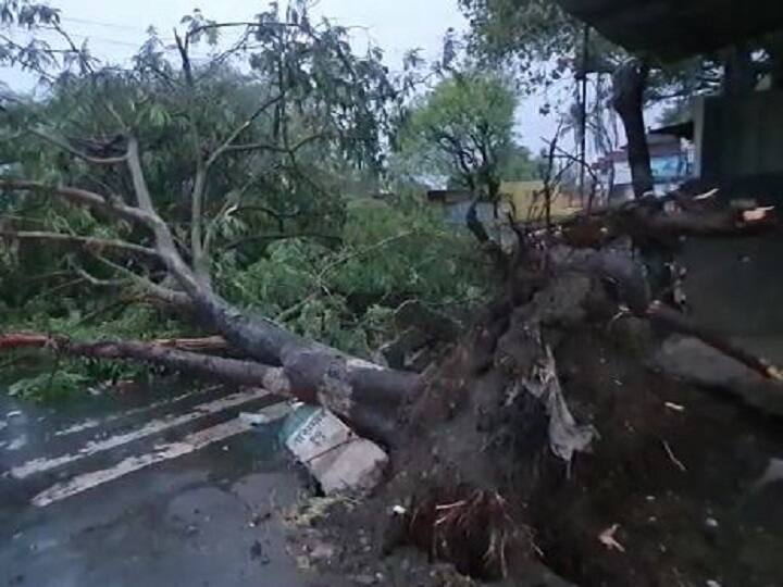 Unseasonal Rain News Untimely rains in Marathwada including Sangli Solapur town in the state Unseasonal Rain News :  पश्चिम महाराष्ट्रासह मराठवाड्यात काही ठिकाणी अवकाळी पाऊस, झाडे उन्मळून पडल्यानं सांगली-तासगाव रोडवरील वाहतूक ठप्प