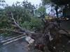 Unseasonal Rain News :  पश्चिम महाराष्ट्रासह मराठवाड्यात काही ठिकाणी अवकाळी पाऊस, झाडे उन्मळून पडल्यानं सांगली-तासगाव रोडवरील वाहतूक ठप्प