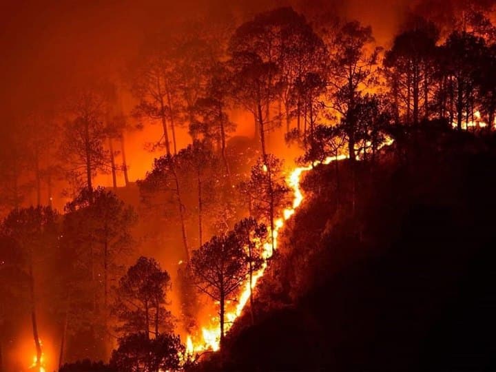 This technology will alert before forest fire no other country has such technology Delhi News: जंगल में आग लगने से पहले ही अलर्ट करेगी ये तकनीक, किसी और देश के पास ऐसी टेकनॉलजी नहीं
