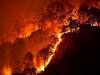 Uttarakhand News: उत्तराखंड के जंगलों में धधकती आग की घटनाओं में गिरावट दर्ज, जानें- 'फायर सीजन' में अब तक कितना नुकसान हुआ?