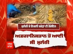 ਸਰਹੱਦ ਪਾਰ ਤੋਂ ਤਸਕਰੀ ਦੀ ਕੋਸ਼ਿਸ਼ ਨਾਕਾਮ, Afghanistan ਤੋਂ ਆਈ ਮੁਲੱਠੀ ਦੀਆਂ ਬੋਰੀਆਂ 'ਚ ਹੈਰੋਇਨ । Abp Sanjha