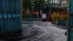 અમદાવાદઃ વટવામાં કેમિકલ માફિયાઓ બન્યા બેફામ, જાહેરમાં કર્યો કેમિકલનો નિકાલ