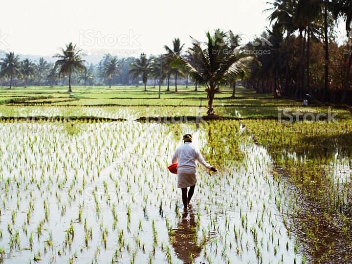 Andhra Pradesh: Former Teacher Inspires 100 Tribal Villages To Quit Chemical Fertilisers Andhra Pradesh: Former Teacher Inspires 100 Tribal Villages To Quit Chemical Fertilisers