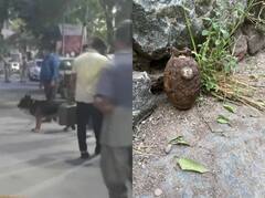 दिल्ली: मोहम्मदपुर इलाके से एक पुराना और जंग लगा ग्रेनेड बरामद, दहशत फैली