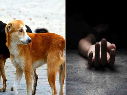 Ludhiana: Dogs found feasting on missing woman body Crime : காணாமல்போன பெண்.. சடலத்தை தின்ற நாய்கள்.. பதறி ஓடிய மக்கள்.. என்ன நடந்தது?
