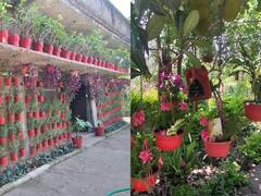 Udaipur News: बांसवाड़ा में 9वीं पास युवक ने कच्चे मकान को सजाने के लिए खोजा यूनिक आईडिया, अब बर्थडे पार्टी के लिए लगती है लाइनें