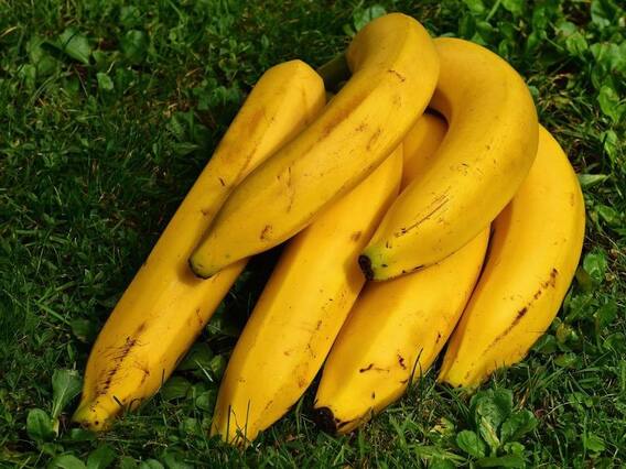 Banana for Weight Loss: इन 6 तरीकों से करें केले का सेवन, तेजी से बढ़ेगा आपका वजन Banana for Weight Loss: इन 6 तरीकों से करें केले का सेवन, तेजी से बढ़ेगा आपका वजन