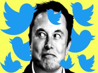 Elon Musk on Twitter: মাস্কের হাতেই যাচ্ছে টুইটার? জোর জল্পনা বিশ্বজুড়ে