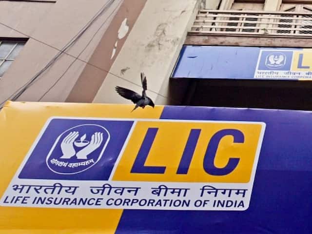 Sebi Likely To Exempt LIC From Mandatory 5 Per Cent Float In IPO | Know More