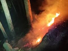 Uttarakhand: रुद्रप्रयाग के जंगलों में लगी आग से लोगों का सांस लेना मुश्किल, वन विभाग के पास नहीं है पर्याप्त संसाधन