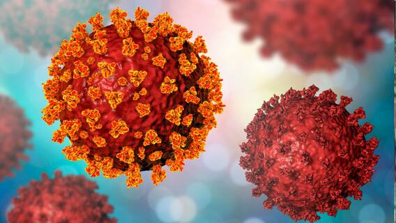 Covid Update: দেশে ফের দৈনিক সংক্রমণ আড়াই হাজার পার।Bangla News