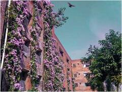 Phagwara News: भगवान राम के बारे में LPU के असिस्टेंट प्रोफेसर ने की अपमानजनक टिप्पणी, यूनिवर्सिटी ने किया बर्खास्त